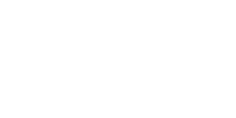 Priver_Parkr Logo White
